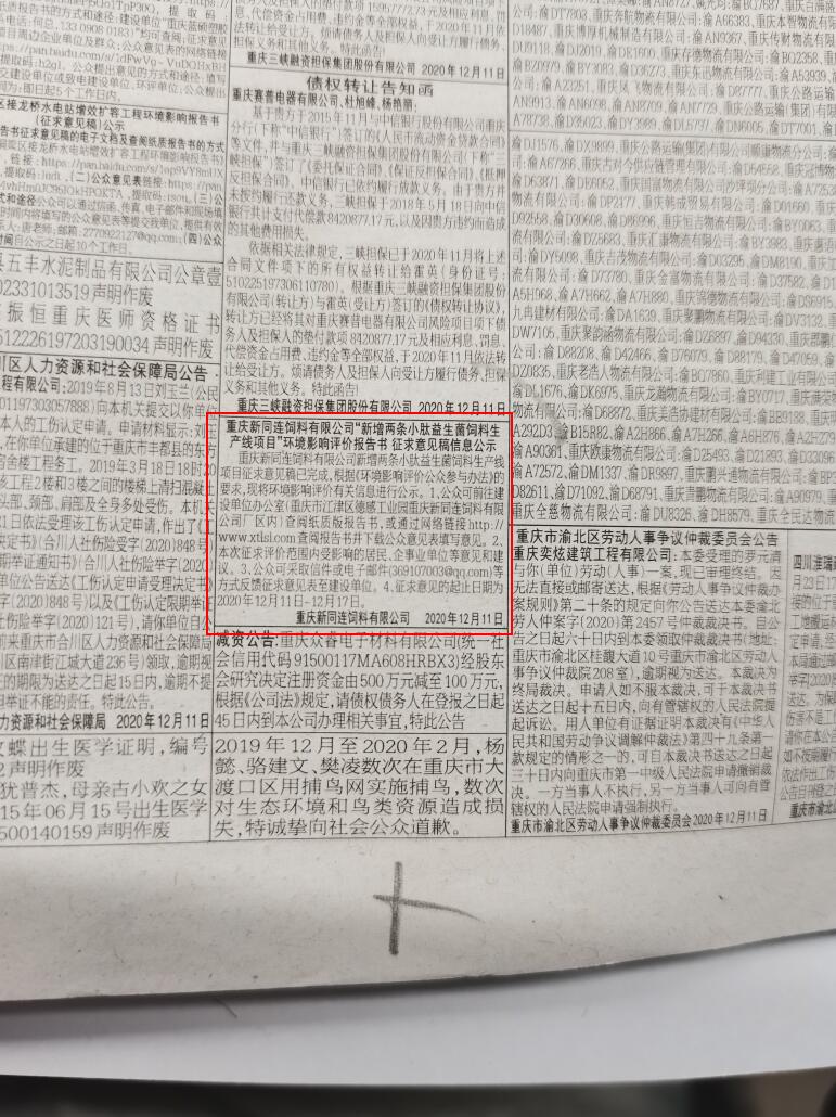 1640081802881414.jpg 475.jpg